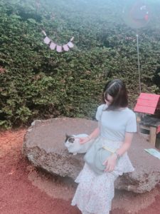 インターンさき