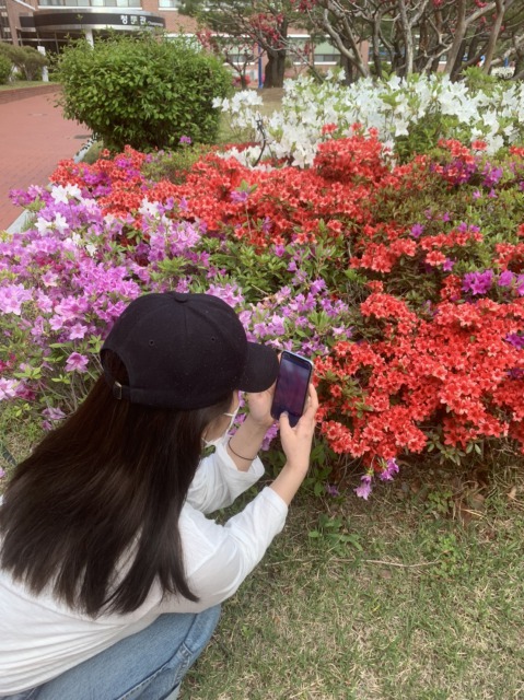 インターンかりんちゃん